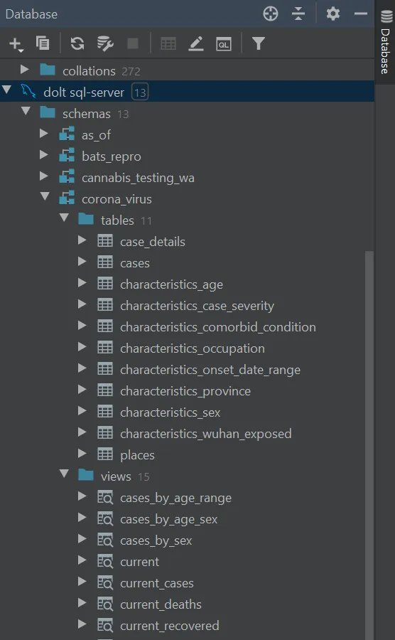 GoLand database view