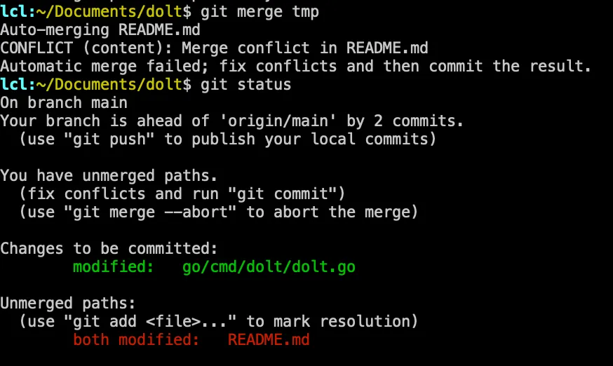 Git Conflict Status