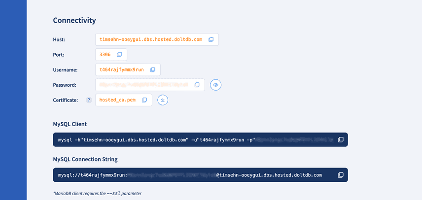 Hosted Dolt Connectivity Information