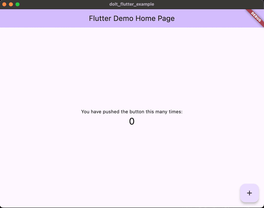 Starter flutter app