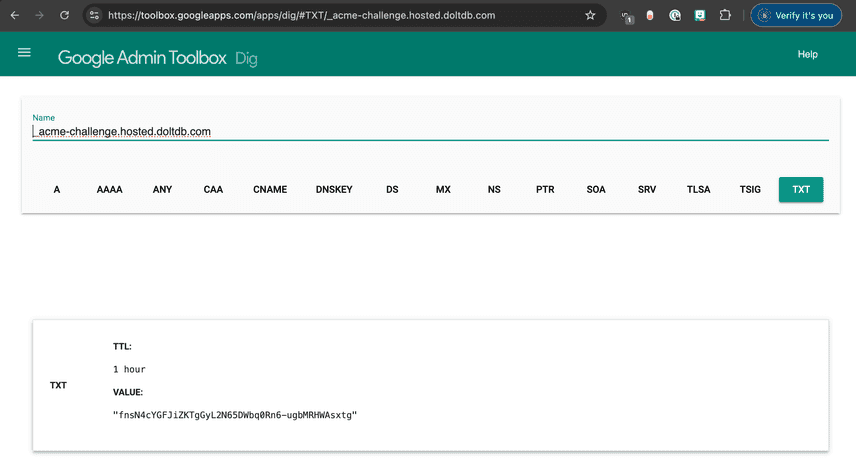 DNS Record